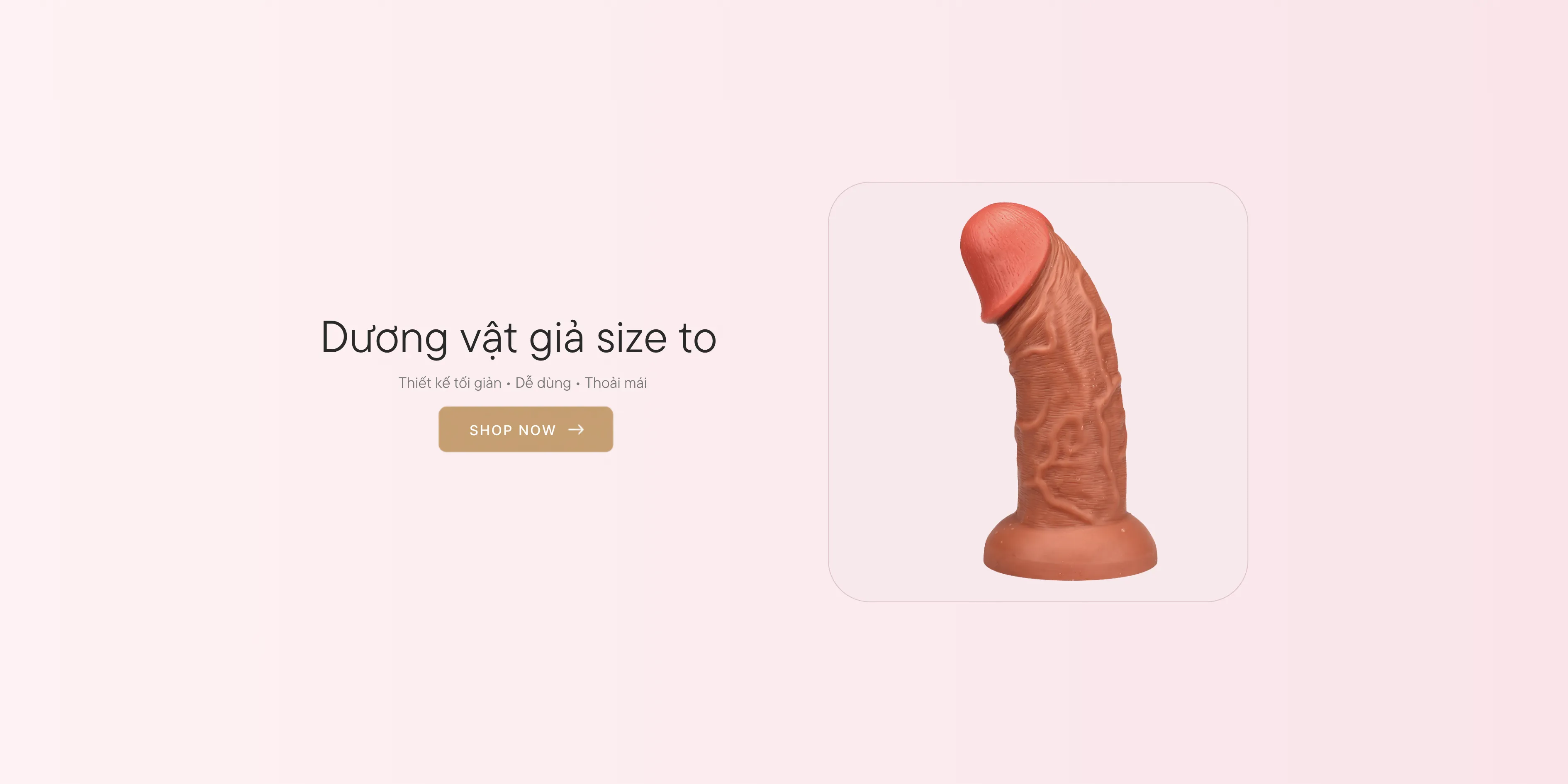 Dương vật giả