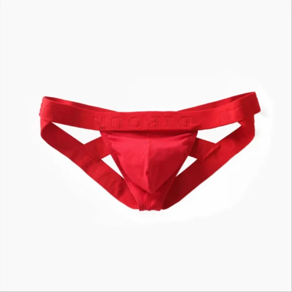 QUẦN LÓT COTTON CO GIÃN TỐT – SIÊU NÂNG VÒNG BA