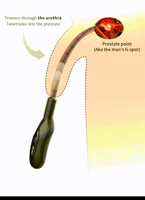 Sounding rung tự động Jewn